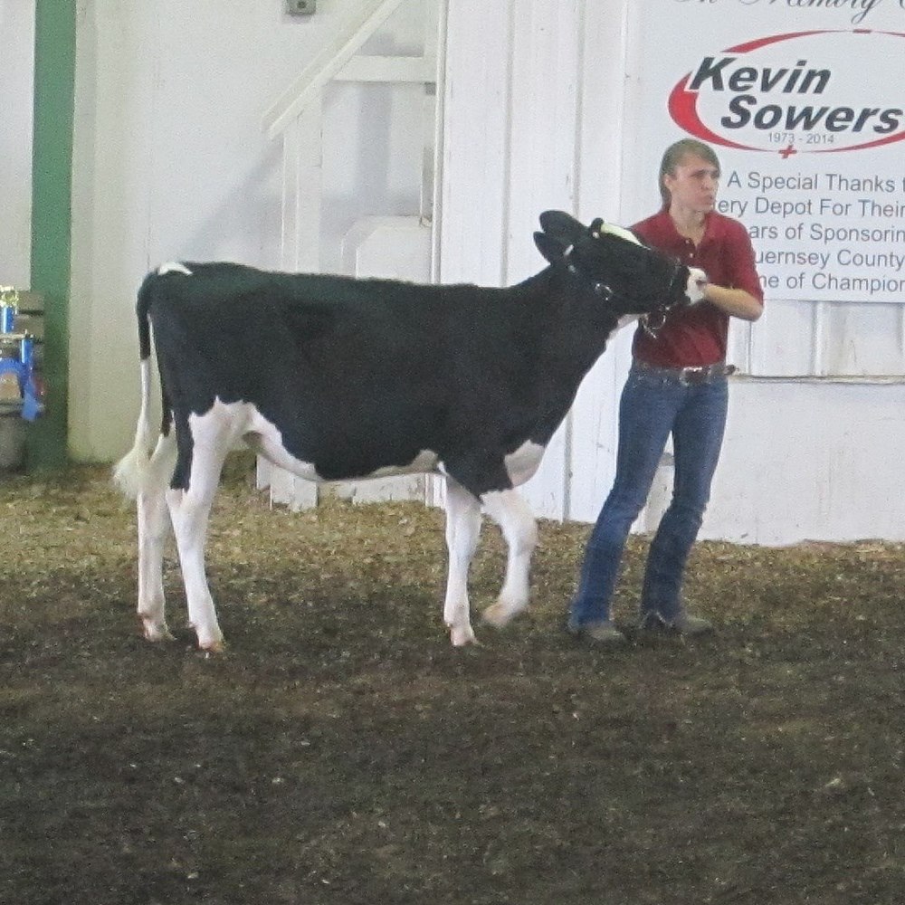 Meet your Posher, Kristen